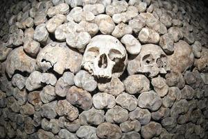 Paris Catacombs Skulls and bones photo