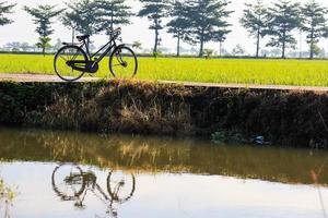 old bicycle with rice fields in the background. photo