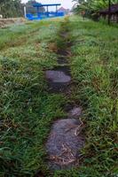 portrait photo of the road to pass through the meadows