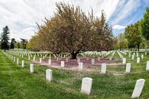 arlington cemetery graveyard photo