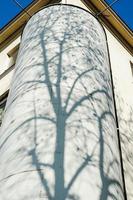 sombra de un árbol en el edificio. foto