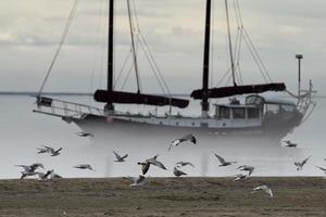 Ship in the fog background photo