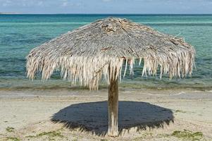 tropical mexican paradise beach photo