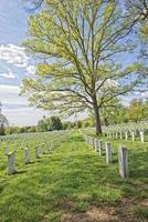 arlington cemetery graveyard photo