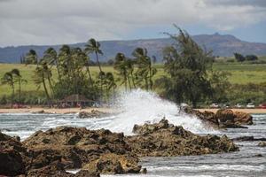 pacific ocean waves on the shore photo