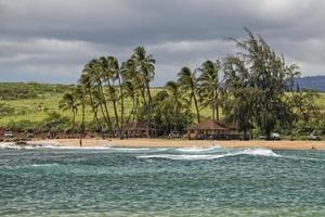 pacific ocean waves on the shore photo