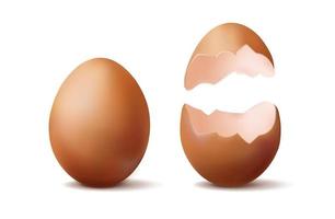 3d realistic vector icon illustration. Whole brown egg and half broken egg.