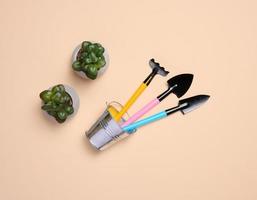 Miniature garden tools for transplanting plants, home hobby, top view photo