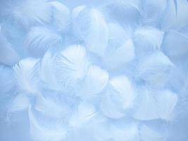 Abstract blurred background in pastel color. The delicate fluffy texture of a bird's feather. Soft focus Artistic design photo