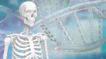 The skeleton on dna background for medical or sci concept 3d rendering photo