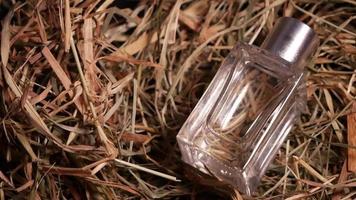 Perfume on dry grass Transparent bottle with perfume video