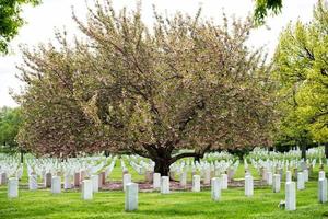 arlington cemetery graveyard photo