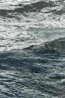 Close up of big Wave in the arctic ocean photo