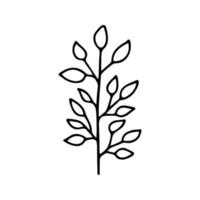 Hand drawn herbal, floral clipart. One line doodle vector