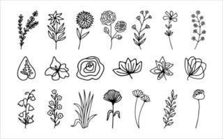 Hand drawn herbal, floral clipart collection. One line doodle vector set