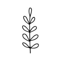 Hand drawn herbal, floral clipart. One line doodle vector