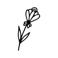 Hand drawn herbal, floral clipart. One line doodle vector