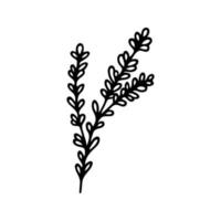 Hand drawn herbal, floral clipart. One line doodle vector