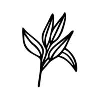 Hand drawn herbal, floral clipart. One line doodle vector