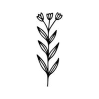 mano dibujado herbario, floral clipart. uno línea garabatear vector