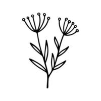 Hand drawn herbal, floral clipart. One line doodle vector