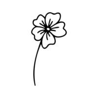 Hand drawn herbal, floral clipart. One line doodle vector