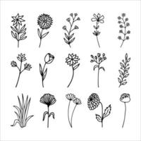 Hand drawn herbal, floral clipart collection. One line doodle vector set