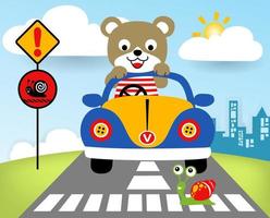 Cute bear on car, funny snail crossing city road, vector cartoon illustration