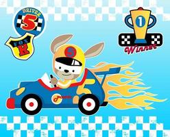 Funny kangaroo on racing car with racing car elements, vector cartoon illustration