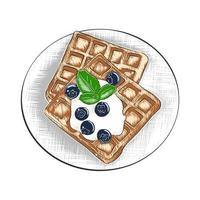 Vector engraved style illustration for posters, decoration and print. Hand drawn sketch of belgian waffles in colorful isolated on white background. Detailed vintage woodcut style drawing.