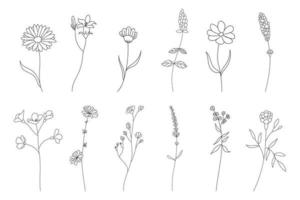 hand drawn flower set, doodle flowers, plants, vector illustration