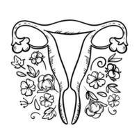 orgánico para femenino salud medicina vector ilustración conjunto