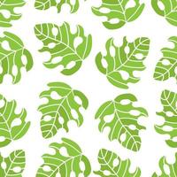 TROPIC MONSTERA Leaves Seamless Pattern Vector Illustration