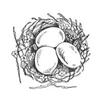 Hand- drawn scetch of Easter decorative nest with eggs. Vector illustration. Black and white vintage drawing.