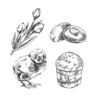 A hand-drawn sketch  Easter Holiday set. Chicken, tulips, Easter cake, quail eggs. Vector illustration. Black and white vintage drawing.