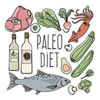 paleo comida sano bajo carbohidratos dieta menú vector ilustración conjunto