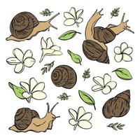 SNAIL COSMETICS Organic Preparations For Health And Beauty vector