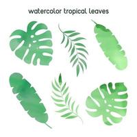 WATERCOLOR TROPICAL LEAF Abstract Plants Vector Illustration Set