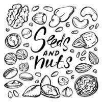 SEEDS AND NUTS MONOCHROME Clip Art Vector Illustration Set