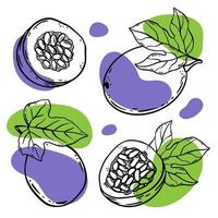 PASSION FRUIT Tropical Delicacy Sketch Vector Illustration Set