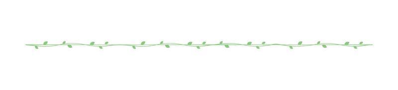 Cute Spring Vine Floral Divider Borders. Springtime separators design elements. vector