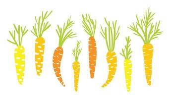 Set of bright carrots on a white background in a hand-drawn style. vector