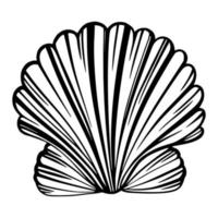 Black marine pearl seashell or mollusk for design of invitation, fabric, textile, etc. vector