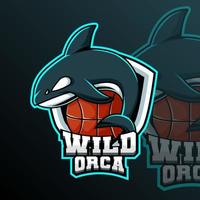 salvaje orca baloncesto animal equipo Insignia vector