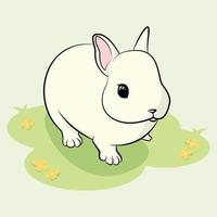 Cute white bunny rabbit vector