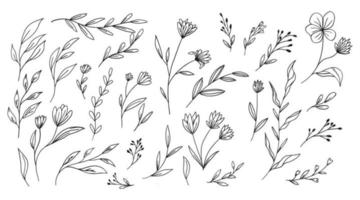 Doodle hand drawn leaf collection organic floral decorative vector