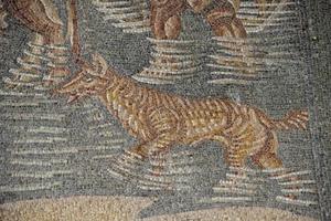 roman floor mosaic photo