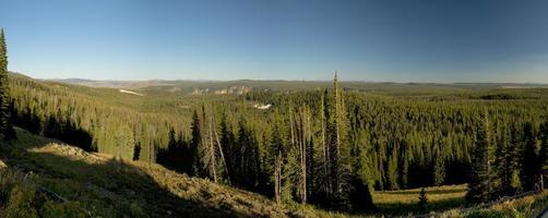 Yellowstone Canyon valley view photo