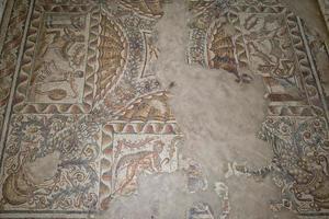 roman floor mosaic photo