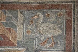 roman floor mosaic photo